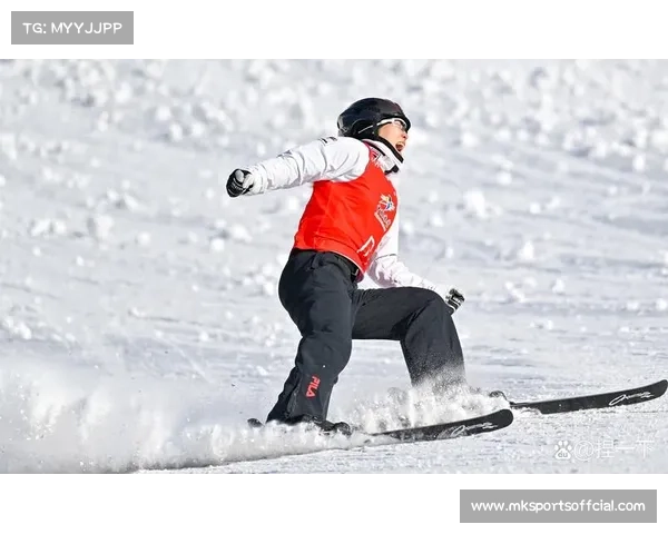 自由式滑雪世界杯施图拜站因恶劣天气取消多项比赛